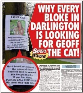 Blowjob Reward for her lost cat