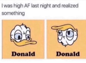 Donald Duck is Donald Trump