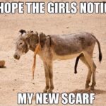 Donkey scarf meme