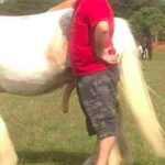 How To Pose For A Dating Profile horse dick