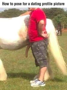 How To Pose For A Dating Profile horse dick