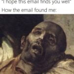 I hope this email finds you well meme