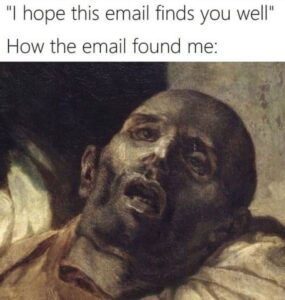 I hope this email finds you well meme