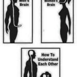 Men's Brain vs Women's Brain