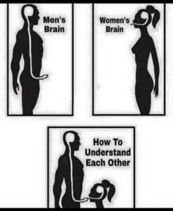 Men's Brain vs Women's Brain