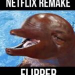 Netflix Flipper Remake