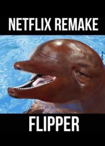 Netflix Flipper Remake