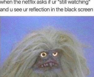 Netflix still watching