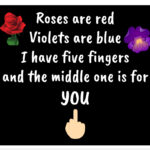 Roses Are Red Violets Are Blue I Have Five Fingers And The Middle One Is For You