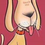 Touch Me You Cunt. Cartoon dog meme.