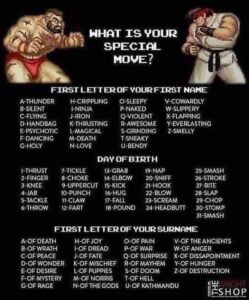 What Is Your Special Move (Street Fighter)