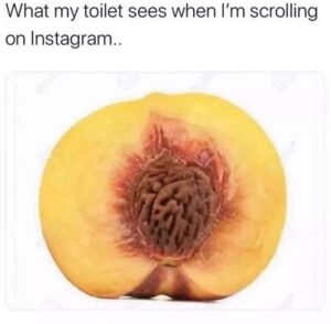 What my toilet sees when I'm scrolling on Instagram