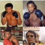 Whose Punch Was The Deadliest