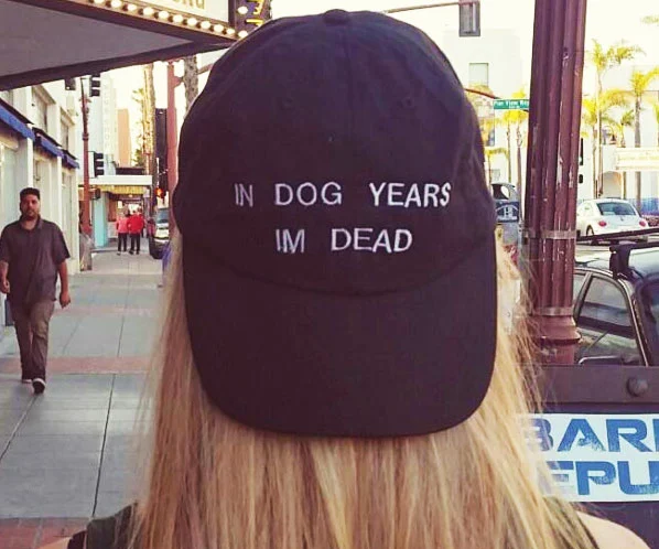 In Dog Years I'm Dead hat