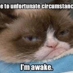 Due To Unfortunate Circumstances I'm Awake grumpy cat meme