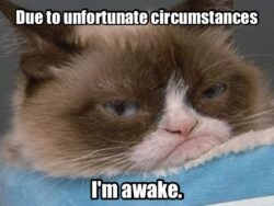 Due To Unfortunate Circumstances I'm Awake grumpy cat meme