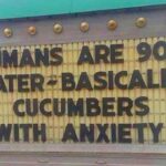 Humans Are Cucumbers With Anxiety