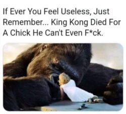 King Kong Died For A Chick He Can't Even Fuck
