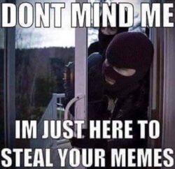 MEME DUMP