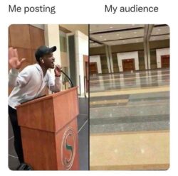 Me Posting to My Audience