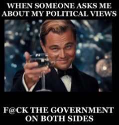 My Political Views