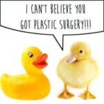 Plastic Surgery Chick