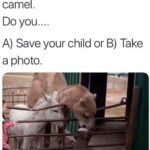 Save Your Child or Take A Photo