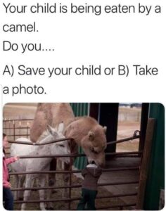 Save Your Child or Take A Photo