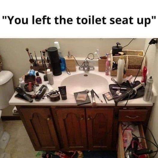 You left the toilet seat up meme