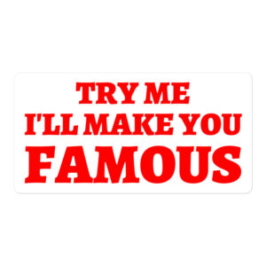 TRY ME I LL MAKE YOU FAMOUS sticker