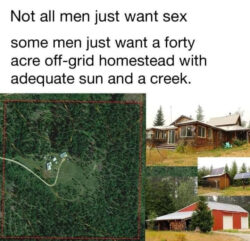 40 Acre Homestead