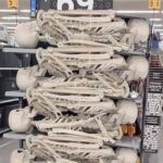 69 Skeletons