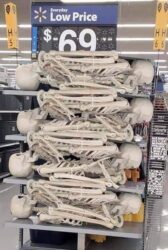 69 Skeletons