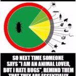 Animal Lovers Who Hate Bugs