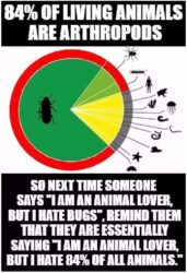 Animal Lovers Who Hate Bugs