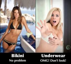 Bikini vs Underwear