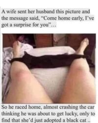 Come Home Early I've Got A Surprise For You