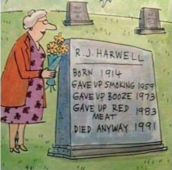 DIE ANYWAY
