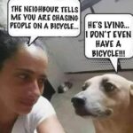 Dog Chasing People On A Bicycle