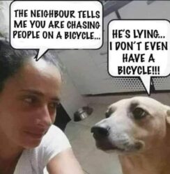 Dog Chasing People On A Bicycle