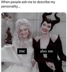 Double Personality meme