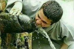 Drinking Piss from a giant cock
