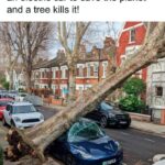 Electric Car Irony