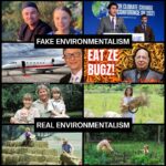 Fake Environmentalism vs Real Environmentalism
