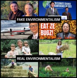 Fake Environmentalism vs Real Environmentalism