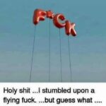 Flying Fuck