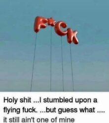 Flying Fuck