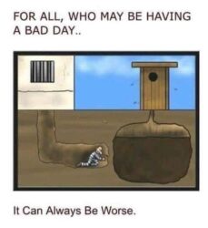 For All Who May Be Having A Bad Day