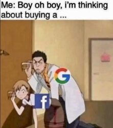 Google and Facebook meme