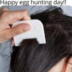 Happy Egg Hunting Day